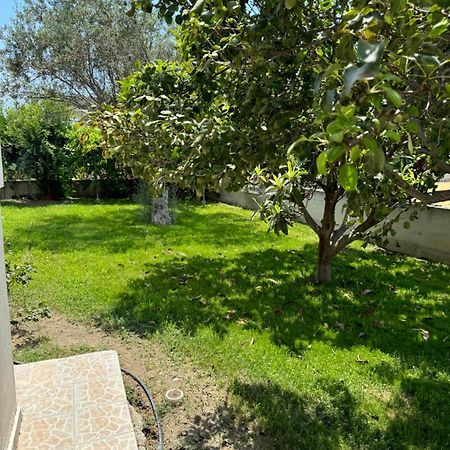 Fotis House Apartment Afantou Exterior photo